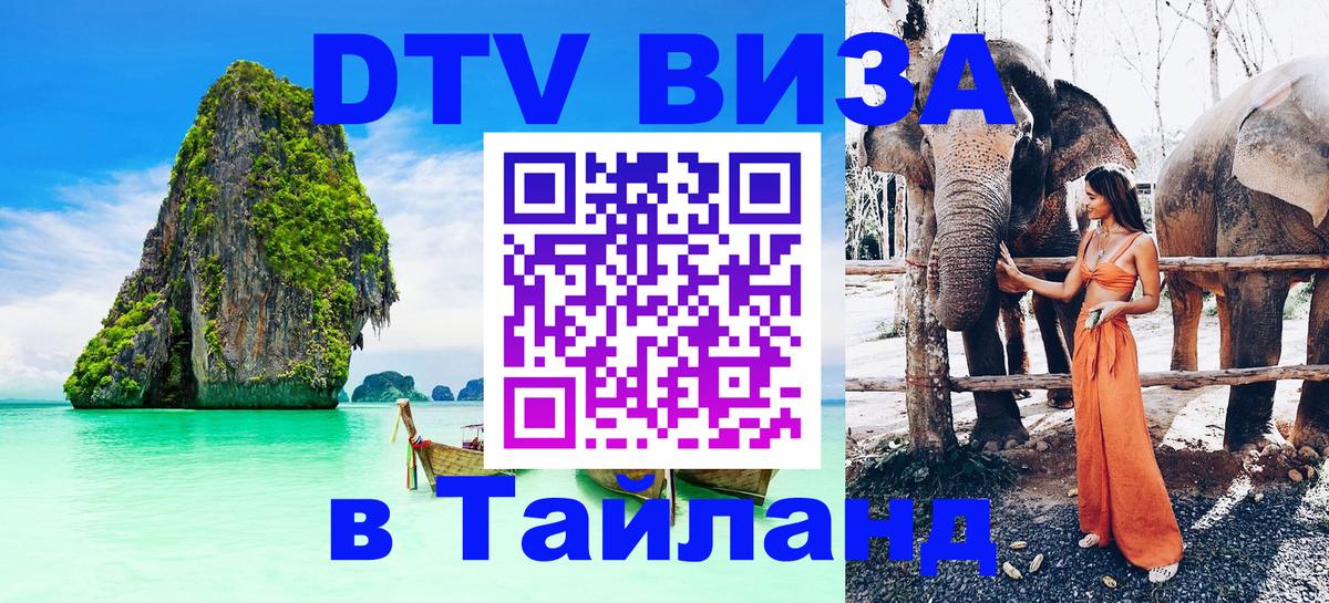 Оформление DTV визы под ключ: стоимость и тарифы, только загранпаспорт - 03.10.2025 